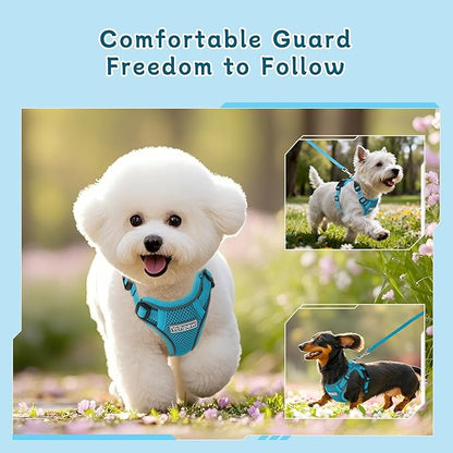 Small Dog Harness and Leash Set, Reflective Soft Breathable Mesh Vest, 3 Buckles, Adjustable Neck and Chest,Step in Dog Harness for Walking, Running, Training, Turquoise, M