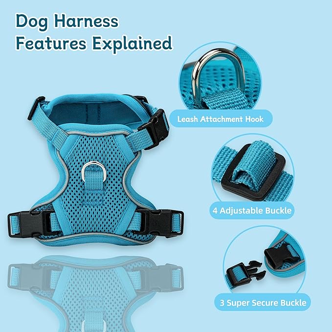 Small Dog Harness and Leash Set, Reflective Soft Breathable Mesh Vest, 3 Buckles, Adjustable Neck and Chest,Step in Dog Harness for Walking, Running, Training, Turquoise, XS