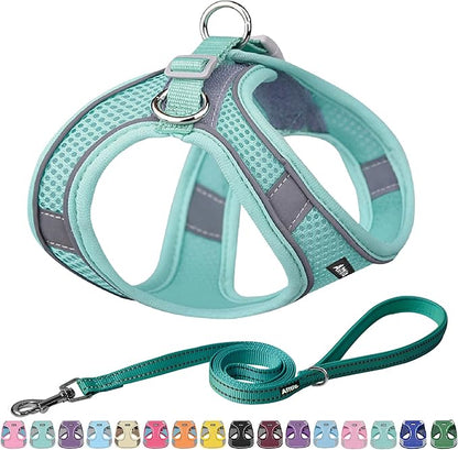 AIITLE No Pull Dog Harness and Leash Set, Step in Adjustable Dog Harness with Padded Vest for All Weather, Dog Leash with Soft Padded Handle, Easy to Put on Small and Medium Dogs Pure Turquoise S