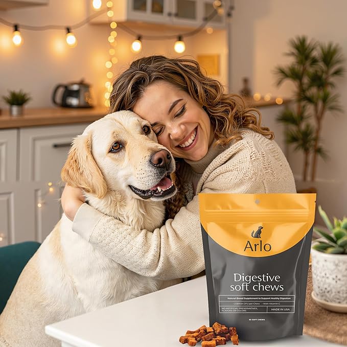 Arlo Pet Dog Digestive Supplement - 60 Soft Chews with Pre and Probiotics, Digestive Enzymes for Dogs, Organic Pet Treat with Vitamin-C, and 2.4B CFU Bacillus Coagulans