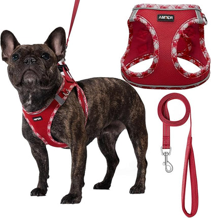 AMTOR Small Dog Harness with Leash Set, No Escape Easy Walk Puppy Harnesses for Training Walking, Step-in Reflective Soft Dogs Vest for XS S Medium Extra-Small Large Sized Dog(XL Size,Red/White)