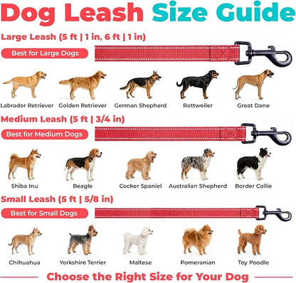 Best Pet Supplies Voyager Reflective Dog Leash or Collar with Neoprene Handle, for Small, Medium, and Large Breed Puppies, Cute and Heavy Duty for Walking, Running and Training - Red (Leash), L