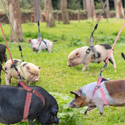 Mini Pig Harness, Adjustable Small Pig Harness with Leash Infinity Style Lead and Soft Foam Handle for Small to Medium Pet Pigs Walking Training Jogging (Pink, S)