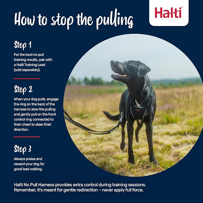 Halti No Pull Harness - Stop Your Dog Pulling on The Leash. Adjustable, Lightweight and Easy to Use. Reflective Dog Training Harness for Toy and Small Dogs (Size XS, Burnt Orange)