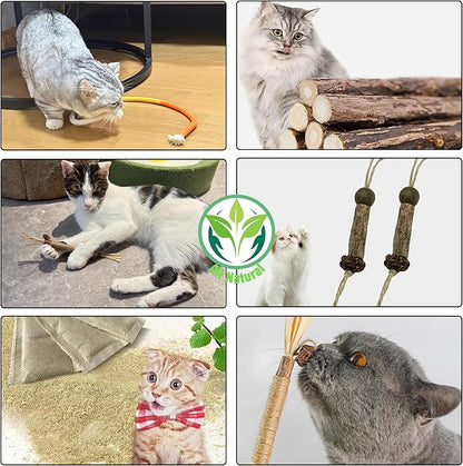 Cat Chew Toys Cat Toys, Silvervine Sticks for Cats Teeth Cleaning Rope, Kitten Teething Dental Care, Kitty for Indoor Cats Increase Appetite, Enhances Oral & Dental Health (20 Pack)