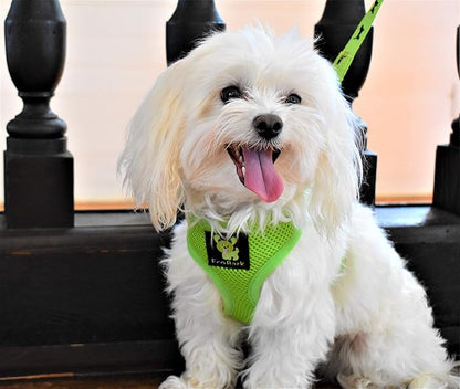 EcoBark Dog Harness - Eco-Friendly Max Comfort Harnesses - Luxurious Soft Mesh Halter - Over The Head Harness Vest- No Pull and No Choke for Small, Toy Breed, and Teacup Dogs (XS, Green)