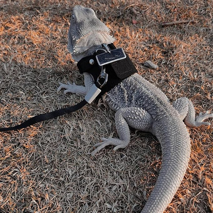 3 Pack Bearded Dragon Harness and Leash Set - Adjustable Soft Leather Lizard Harness with Retractable Leash Small Animal Traction Rope Walking Vest Accessories for Reptile Squirrel Rat (Black)
