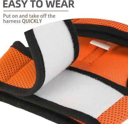 PUPTECK Soft Mesh Cat Vest Harness and Leash Set Puppy Padded Pet Harnesses Escape Proof for Cats Small Dogs Rabbits Bunny, Orange M