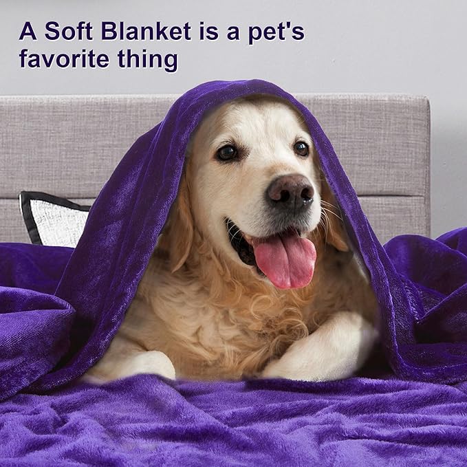 DREAMNINE Pack of 10 Soft Fuzzy Fleece Throw Blanket for Couch Sofa 50" x 60", Decorative Solid Lightweight Velvet Blankets for Chair, Cozy Accent Shaggy Plush Flannel Blanket for Bedroom, Purple