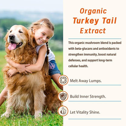 Natural Lipoma Support for Dogs, 7 Organic Mushroom Blend with Beta-Glucans, Boosts Immunity, 1500mg High Potency Turkey Tail, Reishi, Lion's Mane Helps Reduce Lumps & Bumps, 90 Chicken Soft Chews