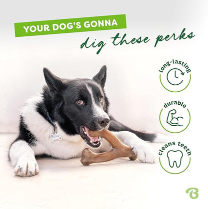 Small 3-Pack, Benebone Wishbone Durable Dog Chew Toy for Aggressive Chewers, Real Bacon, Chicken, Peanut Butter, Made in USA, Variety Pack