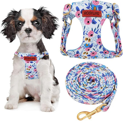 No Pull Dog Harness Adjustable Small Dog Harness and Leash Set, Lightweight and Soft Dog Harness No Choke Escape Proof Pet Harness Vest (Blue Rose, XX-Small)
