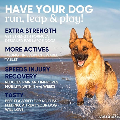 Joint Support Supplement for Large Dogs - Hip and Joint Chewable Tablets for Small, Medium & Large Breed Dogs with Glucosamine, Chondroitin, and MSM, Beef Flavor, 120 Tablets