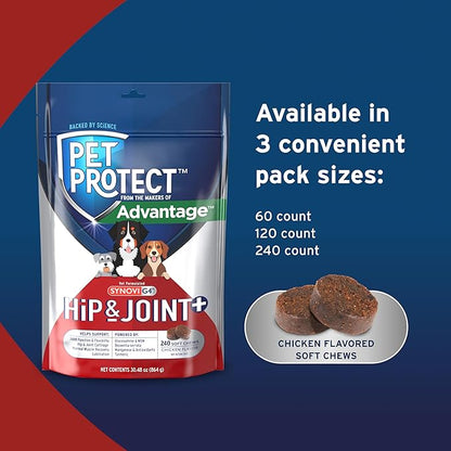 Pet Protect Dog Hip & Joint+ Supplement for Active & Aging Dogs, Vet-Formulated Synovi G4, Dog Glucosamine, Chicken-Flavored Soft Chews (240 Count)