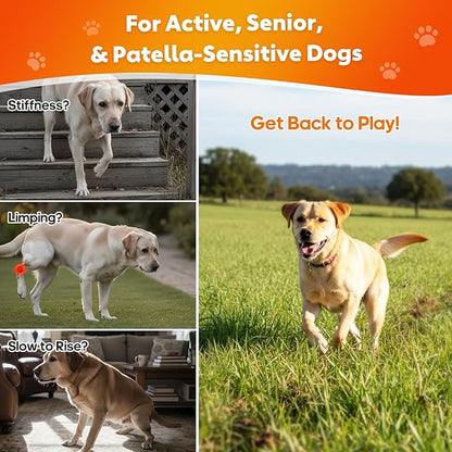 Glucosamine for Dogs Hip and Joint Supplement Chews Treats for Dogs with MSM, Chondroitin Dog Joint Pain Relief Mobility Supplements Chicken Flavor Fit All Large Small Medium Breed- 120 Ct