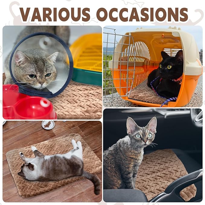 Drydiet 4 Pack Self Warming Cat Bed Mat Self Heating Pad for Dog Extra Warm Winter Pet Pad Washable Thermal Pads Mats for Pets Indoor Outdoor(Camel,16 x 20 Inch)