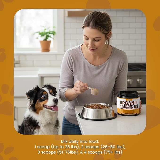 Mushroom Supplement Powder for Dogs (90g) Organic Mushroom Complex with Turkey Tail and Lions Mane for Dogs - Immune Support, Brain Health and Digestion - Third Party Tested, Non-GMO and Made in USA