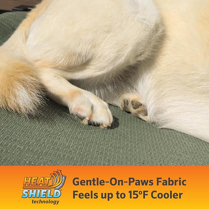 Coolaroo Pro Elevated Dog Bed with HeatShield Fabric – Advanced Cooling Raised Cot for Medium & Large Breeds, Easy-Clean, Low-to-Ground Access, Bonus Bolster Pillow – Great Sandy Beige