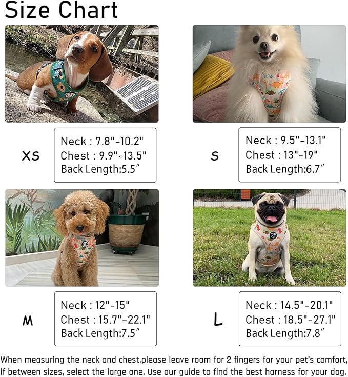 Dog Harness and Leash Set, Adjustable Dog Harness, Dog Leash, No Pull No Choke Puppy Harnesses for Walking Training for Small Medium Pet (Wines, S(Chest 13-19", Neck 9.5-13.1"))