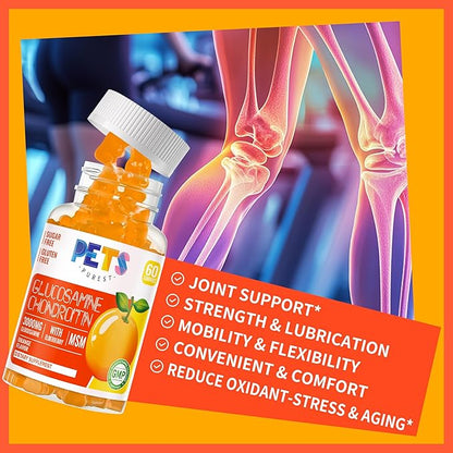Pets Purest Glucosamine Chondroitin Gummies with MSM & Elderberry Extra Strength - Joint Support, Antioxidant Immune Support Supplement for Adults, Men & Women.(2 Pack) Orange
