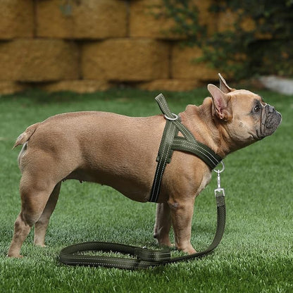Plutus Pet No Pull Dog Harness with Breathable Mesh Padded, Adjustable Reflective Escape Proof Dog Harness, Quick Fit Dog Vest Harness for Small Medium Large Dogs(M, Ranger Green)