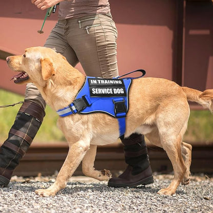 Service Dog Vest Harness and Leash Set+10 Patches,No Pull&Easy Walk Reflective Dog Harness with Soft Padded Handle for Training/Everyday,Fit Small/Medium/Large/Extra-Large Dogs (Blue XL)