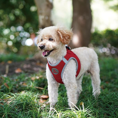 Kruz Dog Harness (Chest 14.5"-15.5", Weight 6–10 lbs) Athletica Adjustable Heavy Duty No Choke Puppy Vest for Small Dogs Lightweight Air Mesh, Reflective, Puppy Essentials – Amethyst, Small