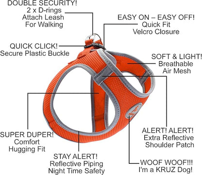 Kruz Dog Harness (Chest 16"-17", Weight 10–15 lbs) Athletica Adjustable Heavy Duty No Choke Puppy Vest for Small Dogs Lightweight Air Mesh, Reflective, Puppy Essentials – Amethyst, Medium