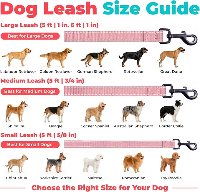Best Pet Supplies Voyager Reflective Dog Leash or Collar with Neoprene Handle, for Small, Medium, and Large Breed Puppies, Cute and Heavy Duty for Walking, Running and Training - Soft Pink (Leash), M