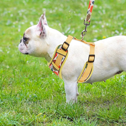 PUPTECK Thanksgiving Fall Small Dog Harness and Leash Set, No Pull Adjustable Puppy Cat Harness, Reflective Soft Mesh Pet Vest Small Sized, Leaves, S