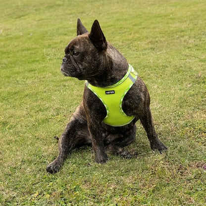 AMTOR Small Dog Harness with Leash Set, No Escape Easy Walk Puppy Harnesses for Training Walking, Step-in Reflective Soft Dogs Vest for XS S Medium Extra-Small Large Sized Dog(S Size,Green/White)