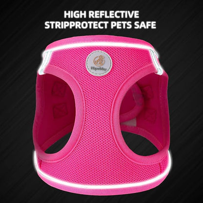 Hipubby Dog Harness and Leash Set, No Pull Soft Mesh Puppy Harness for Small Medium Dogs, Cats - Step in Reflective Breathable Lightweight Vest Harness for Walking, Training - Rose Red, XS