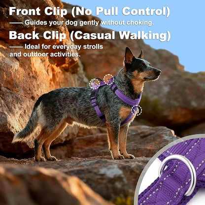 No Pull Dog Harness with Handle, Soft Mesh Padded Adjustable for Small Medium Large Dogs | Reflective Easy Walk Harness with Front Clip for Training, Running & Outdoor (Purple, XL)
