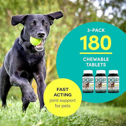 American BioSciences DGP, All-Natural Joint Supplement for Dogs - Joint Support with Turmeric, Boswellia Extract & More - Quick Effect for Pet Mobility Support - 180 Chewable Tablets (Pack of 3)