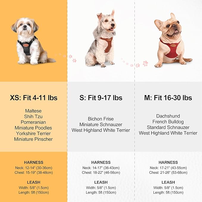 Beirui ‌Stylish PU Leather Dog Harness‌ and Leash Set for Small Dogs, ‌Adjustable Step in Puppy Harness with Breathable Mesh Lining and Durable Metal Buckle for Walking Traveling(Red,XS)