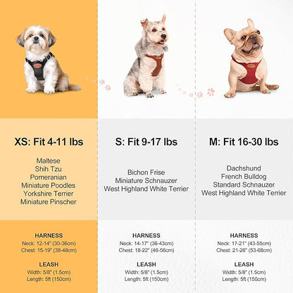 Beirui ‌Stylish PU Leather Dog Harness‌ and Leash Set for Small Dogs, ‌Adjustable Step in Puppy Harness with Breathable Mesh Lining and Durable Metal Buckle for Walking Traveling(Hot Pink,XS)