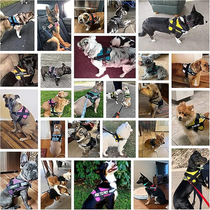 Bolux Dog Harness, No-Pull Reflective Dog Vest, Breathable Adjustable Pet Harness with Handle for Outdoor Walking - No More Pulling, Tugging or Choking Medium (Pack of 1) RoseTurquoise