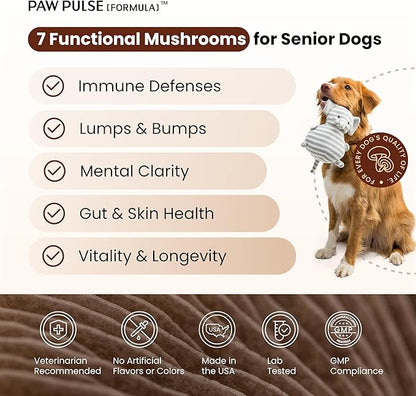 Pawpulse Formula Turkey Tail Mushroom for Dogs - Lipoma, Lumps & Bumps Defense - 7-in-1 Functional Immune Support with Reishi & Lion's Mane - Brain, Vitality, Gut Health & Longevity - 80 Soft Chews