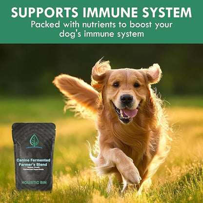 Holistic Bin Canine Fermented Farmer's Blend | Nutrient-Rich Dog Food Toppers | Plant-Based Supplements for Pets Gut Flora | Pumpkin, Spinach, Fruit and Vegetables Powder Mix | Fermented Blend (50g)