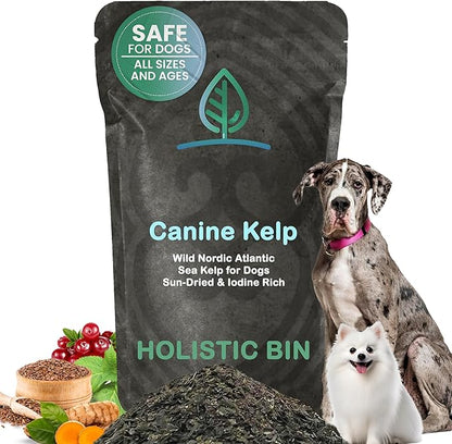 Holistic Bin Canine Atlantic Sea Kelp Dog Food Toppers | Supplement Powder with Iodine and Minerals | Pet Essentials | For Shiny Coat and Skin Wellness | Gut Flora & Oral Freshness | Canine Kelp (50g)