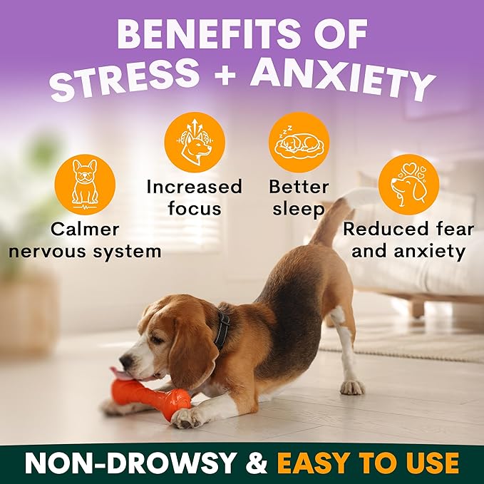 Petz Park Stress + Anxiety Dog Calming Supplement 90 Scoops, Anxiety Supplement, Dog Calming Supplement for Stress Support, Calming Food Topper for Dry or Wet Food, Made in Australia, 6.4oz Powder