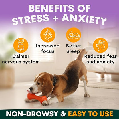 Petz Park Stress + Anxiety Dog Calming Supplement 90 Scoops, Anxiety Supplement, Dog Calming Supplement for Stress Support, Calming Food Topper for Dry or Wet Food, Made in Australia, 6.4oz Powder