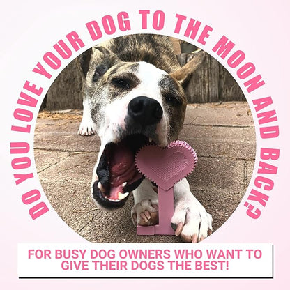 Bullibone Nylon Dog Chew Toy for Aggressive Chewers - Dental Hygiene Bone with Peppermint Flavor, Durable Tough Chew Toys for Large Dogs, Indestructible Dog Bone - 3 Pack