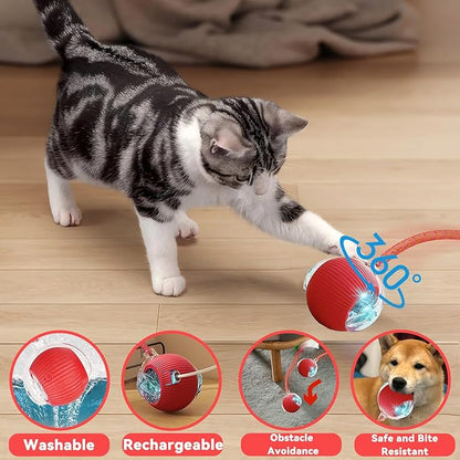 Speedy 2.0 Tail Interactive Cat Toys for Indoor Cats, Automatic Cat Toy with Elastic Mesh Tail, Electric Rolling Ball on Carpet, Chirping and Motion Activate Cat (Red)