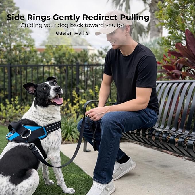 ShawnCo Essential Dog Harness, No-Pull Pet Vest with 3 Leash Clips, No Choke, Reflective, Adjustable and Padded, for Easy Walking and Training for Small, Medium and Large Dogs (Sunset Orange, XS)