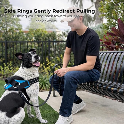 ShawnCo Essential Dog Harness, No-Pull Pet Vest with 3 Leash Clips, No Choke, Reflective, Adjustable and Padded, for Easy Walking and Training for Small, Medium and Large Dogs (White Sharks, M)