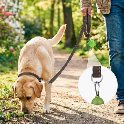 Joytale Double-Sided Reflective Dog Leash, 6 FT/5 FT/4 FT, Padded Handle Nylon Heavy Duty Leashes for Medium & Large Dogs Walking, Brown, 6FT