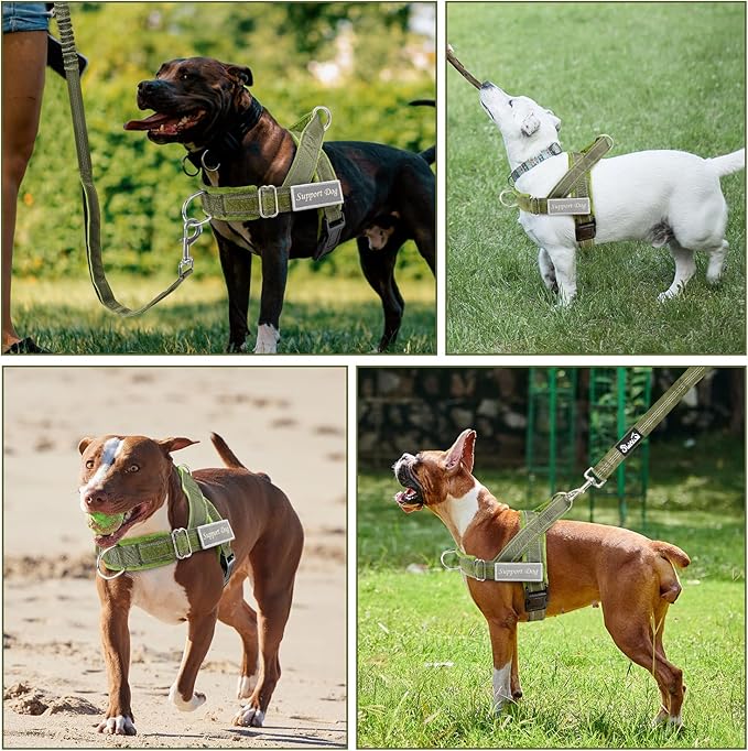 Lukovee No Pull Dog Harness & Leash Set - Heavy Duty Dog Vest Harness with Soft Padded for Medium Large Dogs, Adjustable Reflective Tactical Pet Harness for Easy Walk and Training (XL, Green)