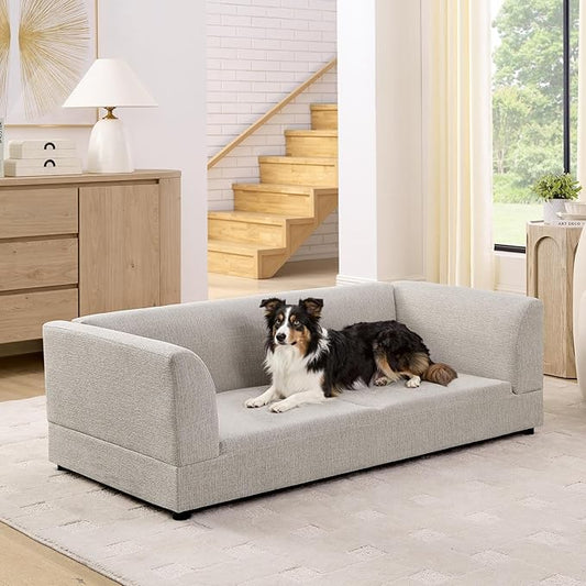 56.5" Dog Sofa Couch for Medium and Large Dogs with Backrest and Armrest, Memory Foam Dog Sofa Bed, Modern Elevated Pet Couch Bed with Legs for Dogs, Beige