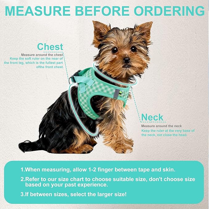 AIITLE Adjustable Dog Harness and Leash Set, Step in No Pull Pet Harness, Soft Mesh Reflective Plaid Vest Harnesses for Small Dogs Puppy and House Cats Outdoor Walking Running Turquoise XS